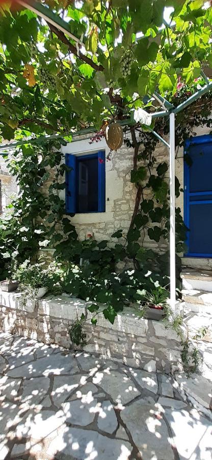 Petrinο Katochori Apartment Katokhorion  Luaran gambar